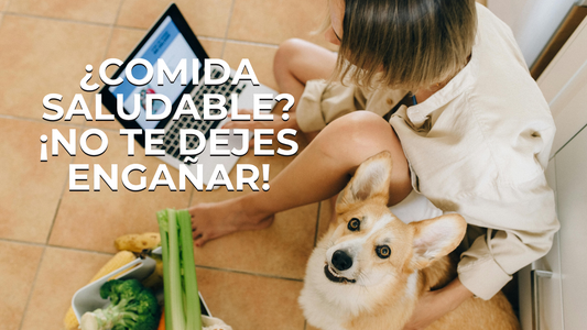 ¡Mitos alimentarios que destruyen tu salud!